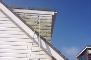 cladding before